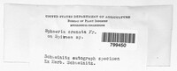 Lophiostoma angustilabrum var. crenatum image